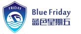 BlueFriday University